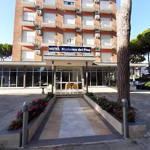 Madonna Del Pino Cervia
